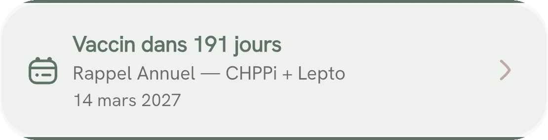Ligne d’échéance de l’onglet Dossier : « Vaccin dans 191 jours — Rappel annuel, CHPPi + Lepto — 14 mars 2027 ».